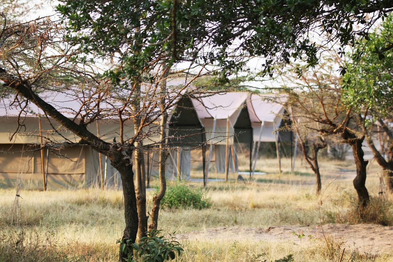 Olengoti Eco Safari Camp Ξενοδοχείο Talek Εξωτερικό φωτογραφία